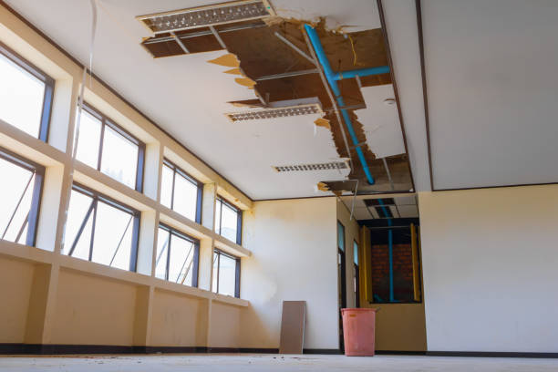 Best Water damage restoration near me  in Denver, CO