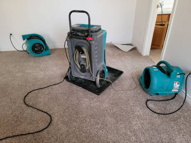 Best Water damage contractors near me  in Denver, CO