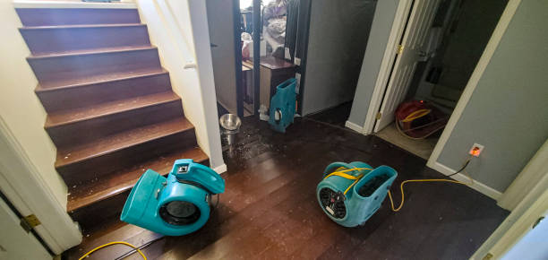 Best Mold removal after water damage  in Denver, CO