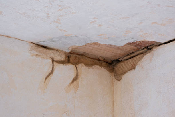 Best Emergency water extraction  in Denver, CO