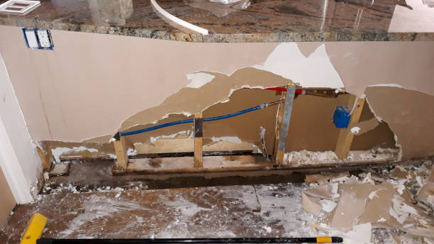 Best Carpet water damage restoration  in Denver, CO