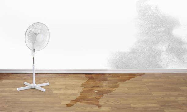 Best Water damage restoration near me  in Denver, CO
