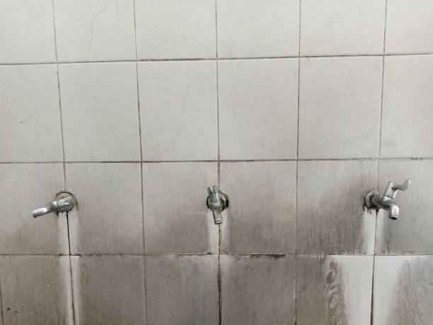 Trusted Denver, CO Water damage restoration Experts