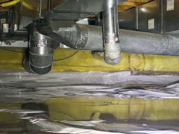 Best Flooded house restoration  in Denver, CO
