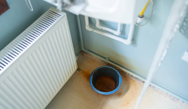 Best Sewage cleanup and water damage restoration  in Denver, CO
