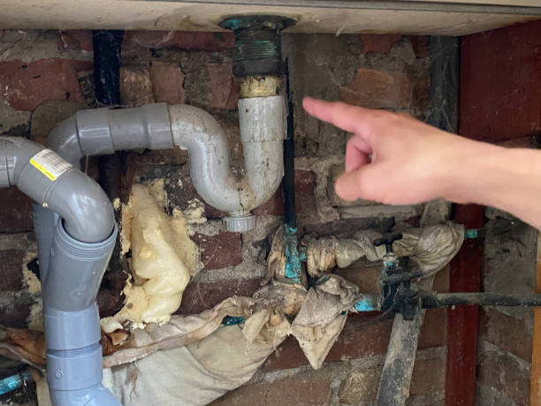 Best Basement water damage restoration  in Denver, CO