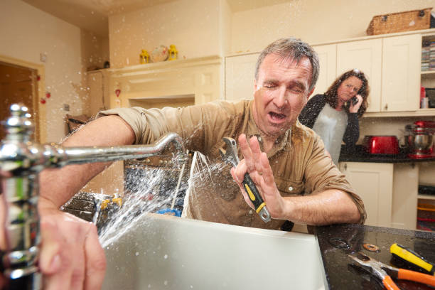 Best Flooded house restoration  in Denver, CO